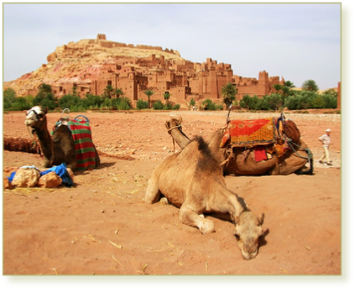 Family Adventure for Families in Morocco