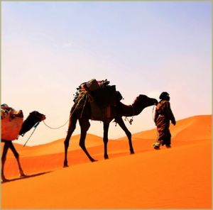 3 days desert tour : Marrakech to Chigaga and night in camp