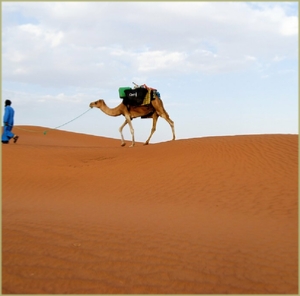 3 Day New Year Tour from Marrakech To Sahara