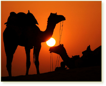 12 day Grand Morocco Tour from Casablanca