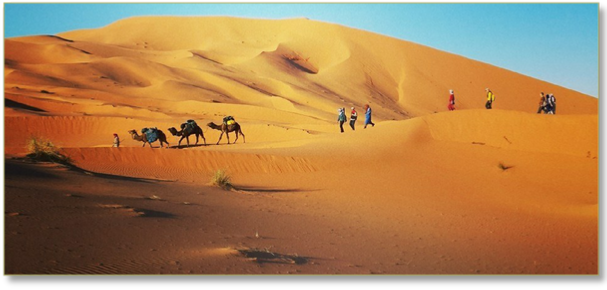 Desert Tours from Agadir