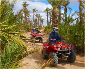 Marrakech quad and buggy