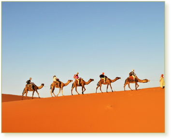 Great value desert tour from Casablanca - 4 days 3 nights desert tour in Morocco